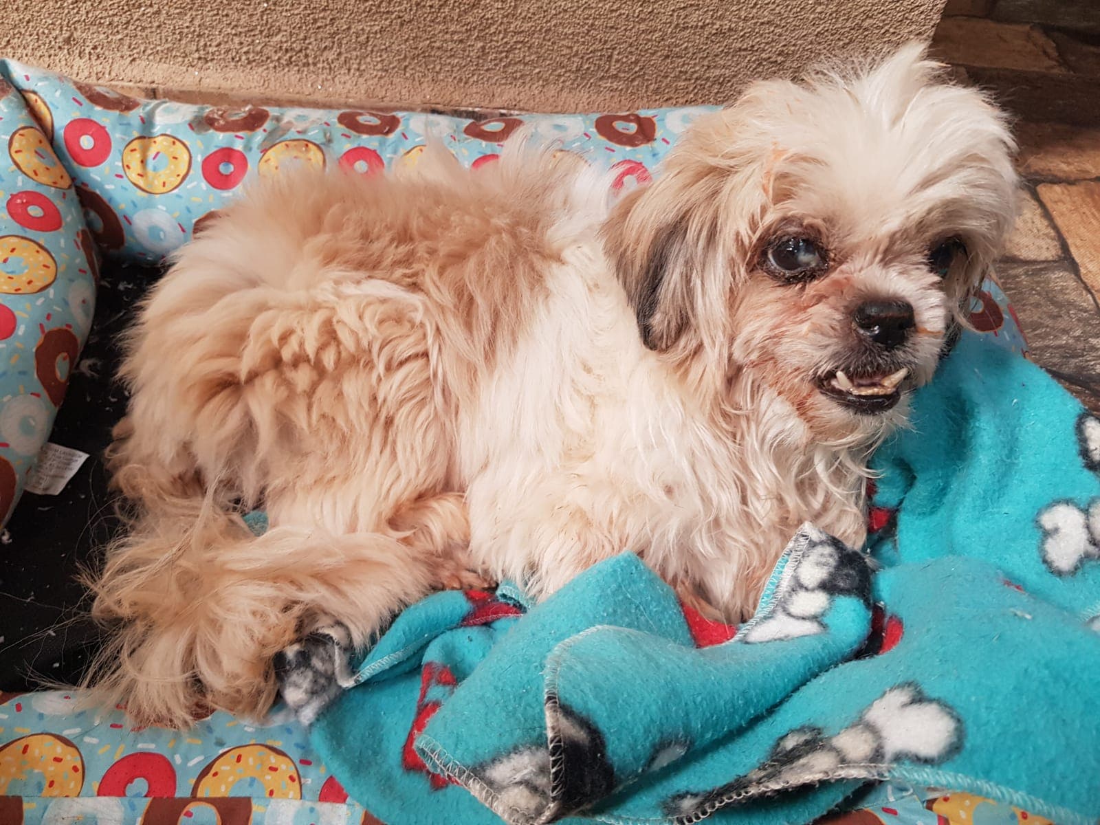 Pacientinho WhatsApp Image 2026-04-17 at 12.41.50 PM.jpeg