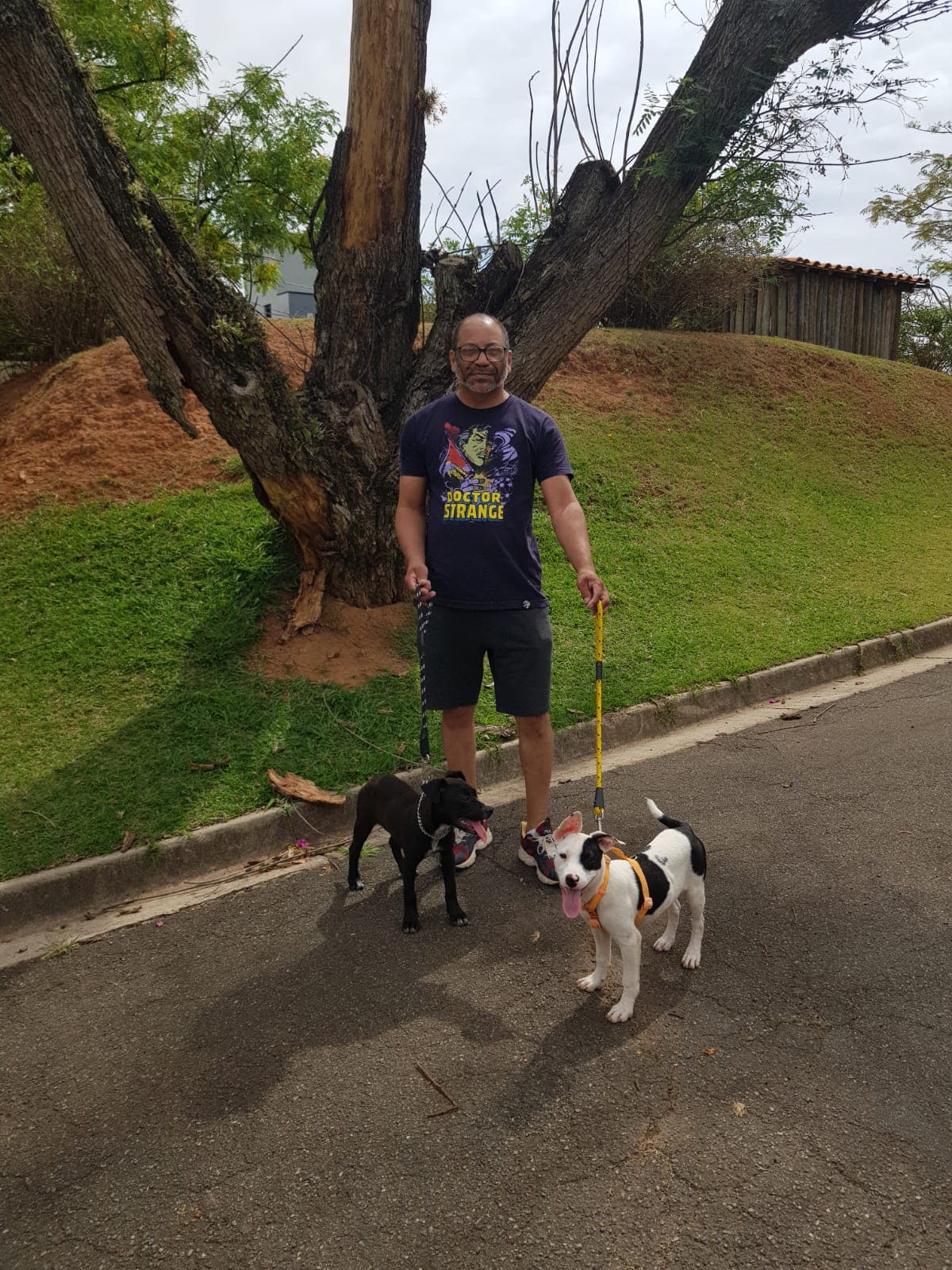 Pacientinho WhatsApp Image 2026-04-17 at 2.34.06 PM.jpeg