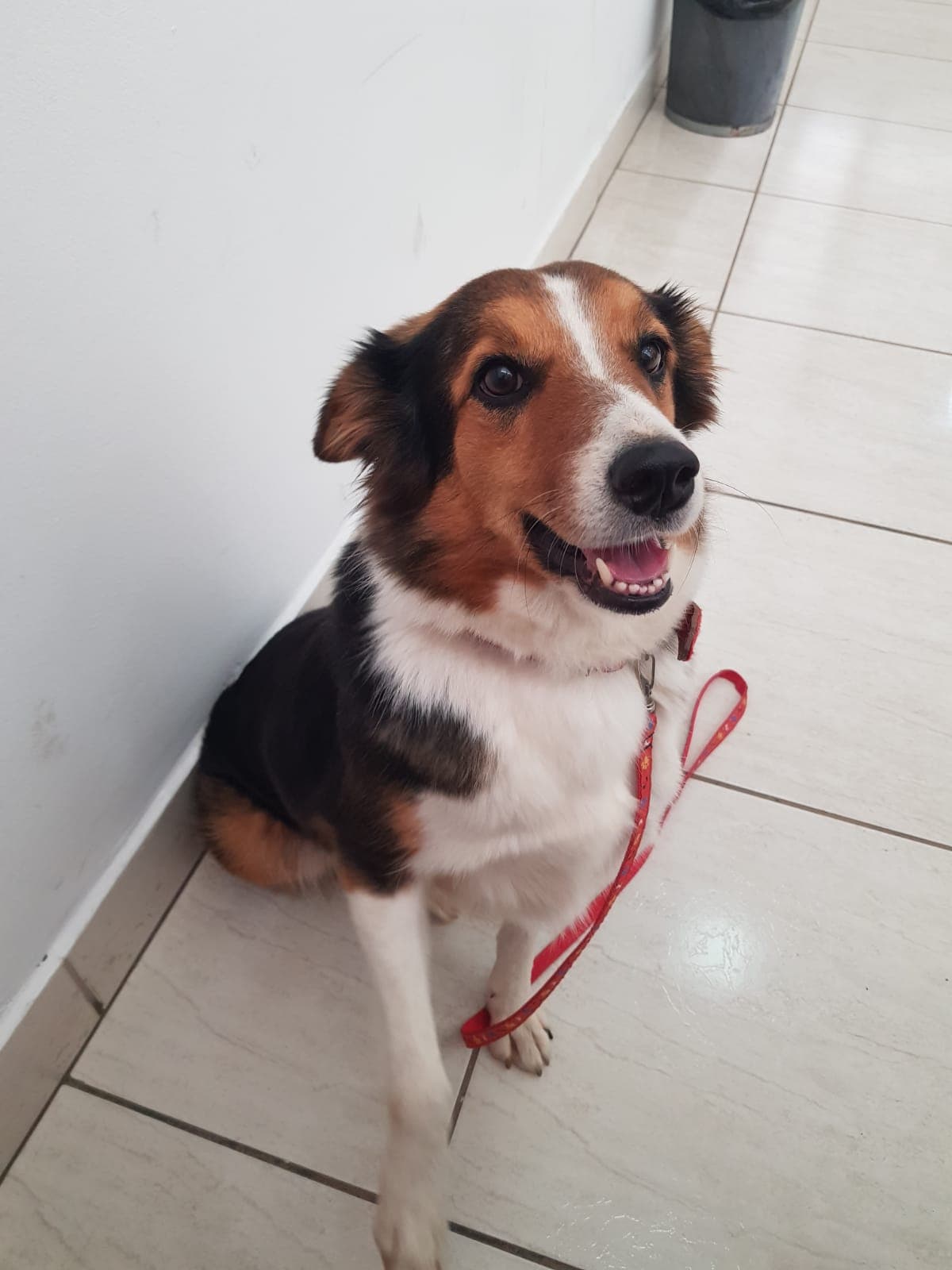 Pacientinho WhatsApp Image 2026-04-17 at 2.42.08 PM.jpeg