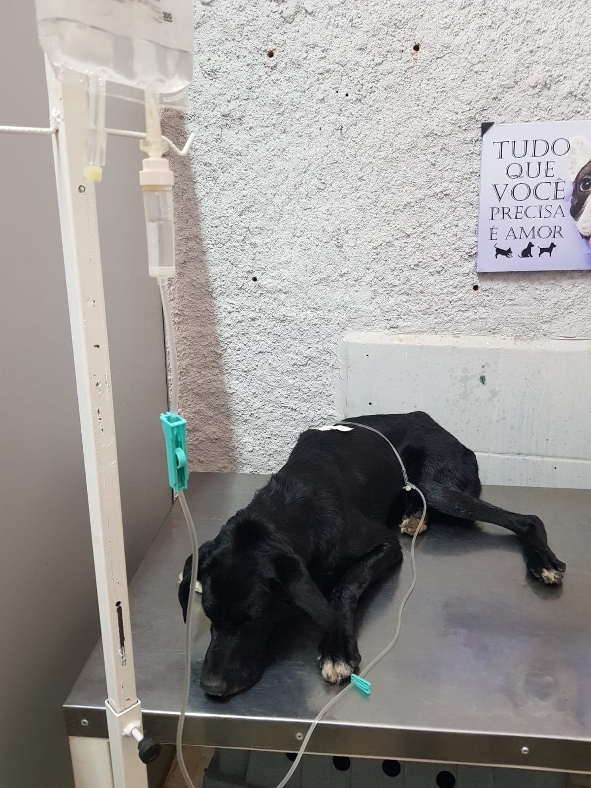 Pacientinho WhatsApp Image 2026-04-17 at 2.46.28 PM.jpeg